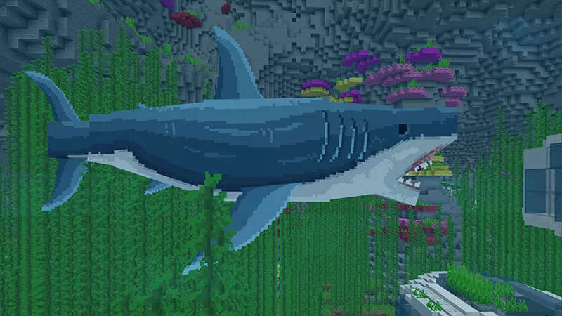 Megalodon