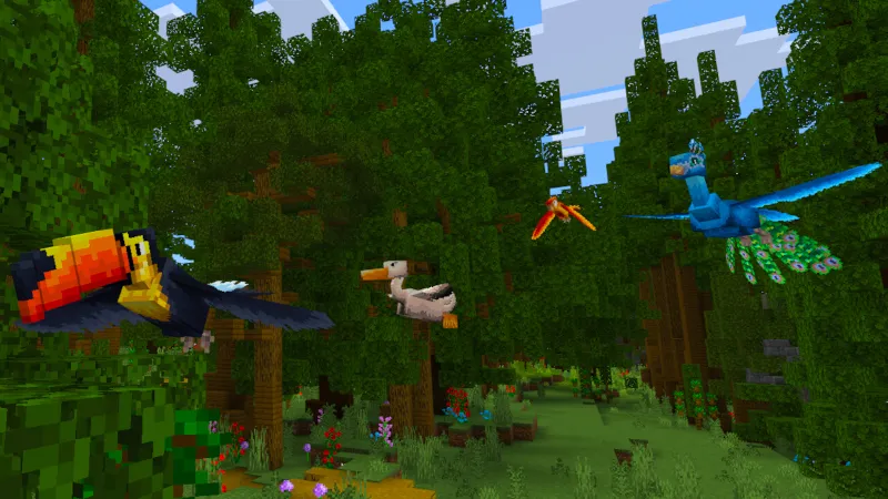 Birds: Tropical