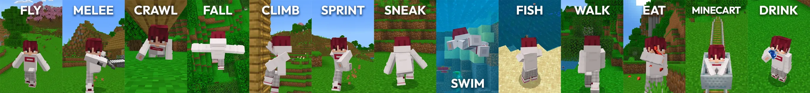 Animations+ Add-On