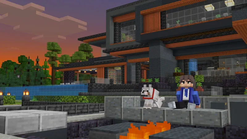 Black Modern House