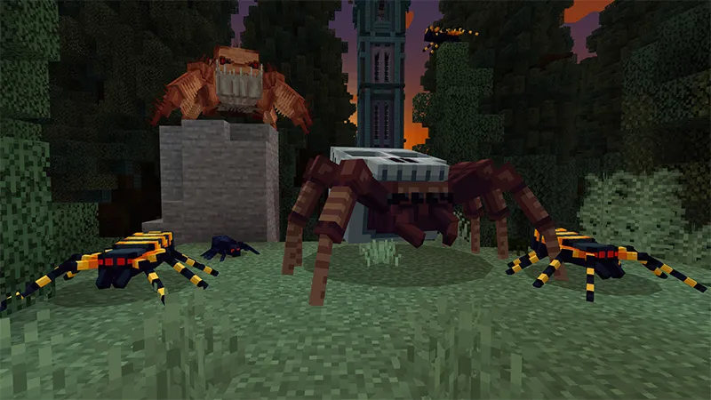 Spiders