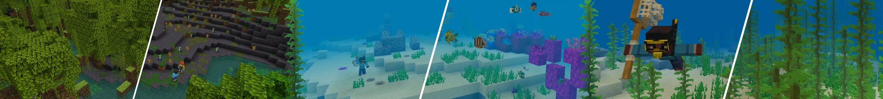Ocean Heroes
