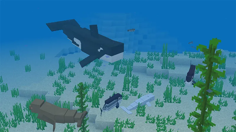 Sea Life Island
