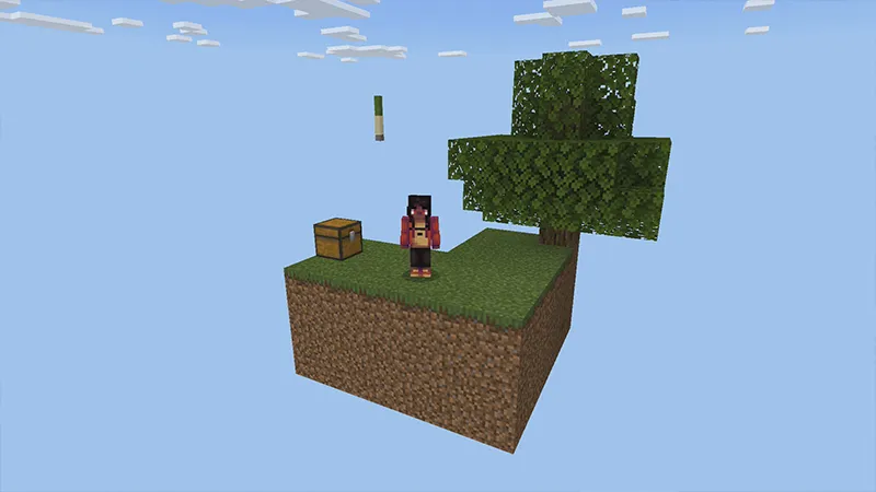 Skyblock Island