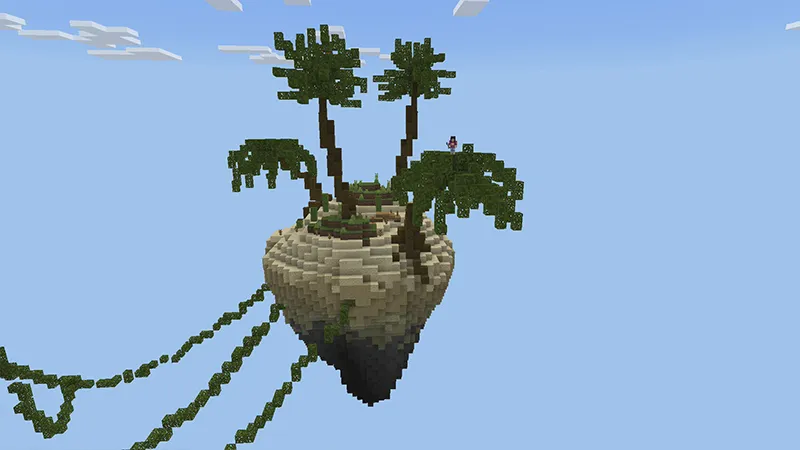 Skyblock Island