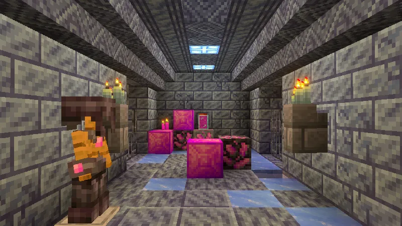 Expansion Plus Add-On