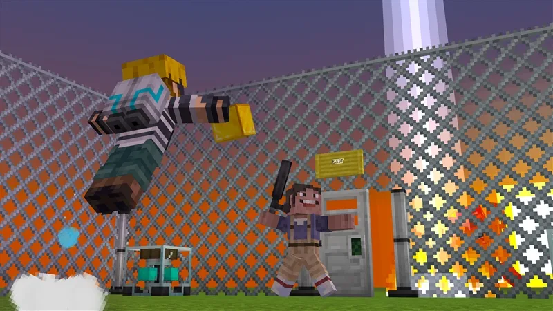 SECURITY SYSTEMS Add-On