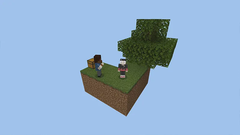 Skyblock SMP!