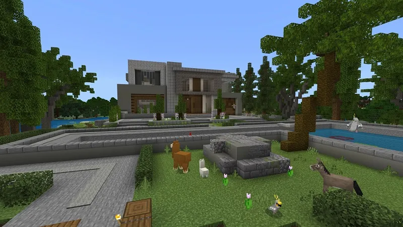 Hacker Base