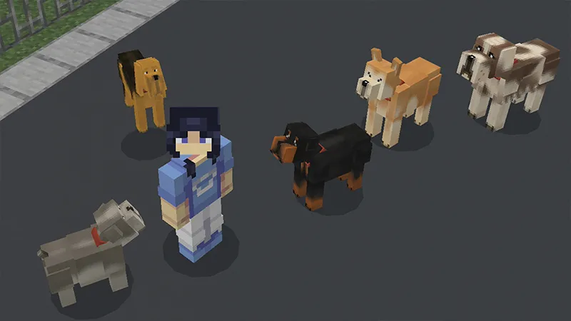 Dogs!