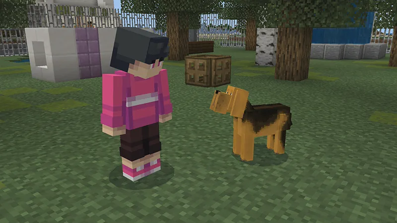 Dogs!
