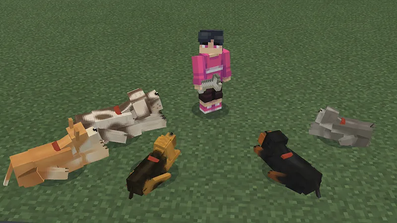 Dogs!