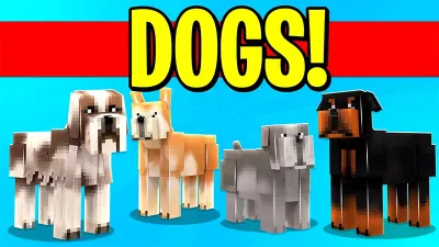 Dogs!