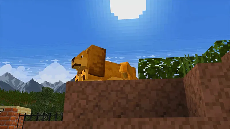 ZOO BUILDER