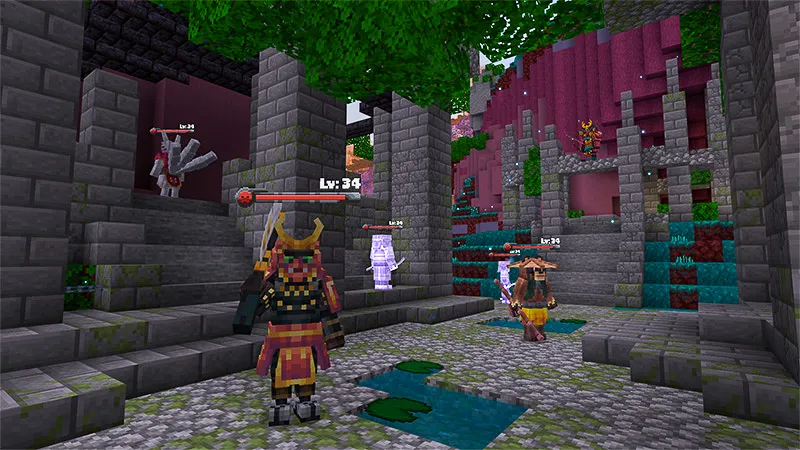 Ninja Weapon Academy