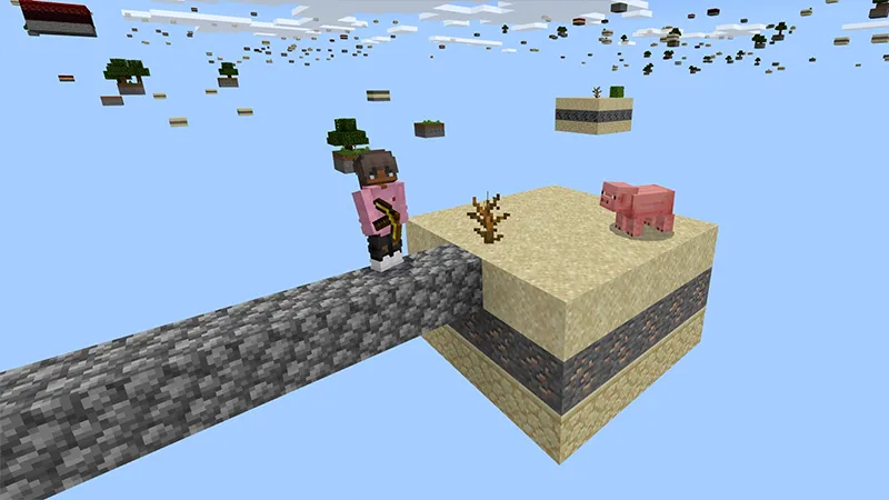 Skyblock Map