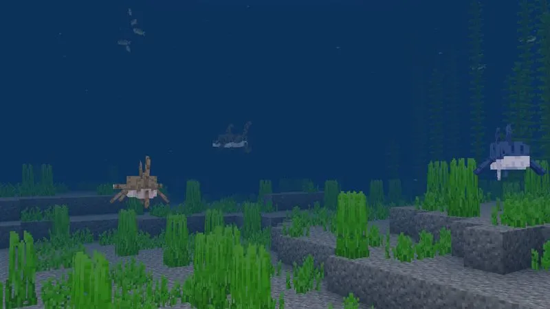 Ocean Explorers Add-On