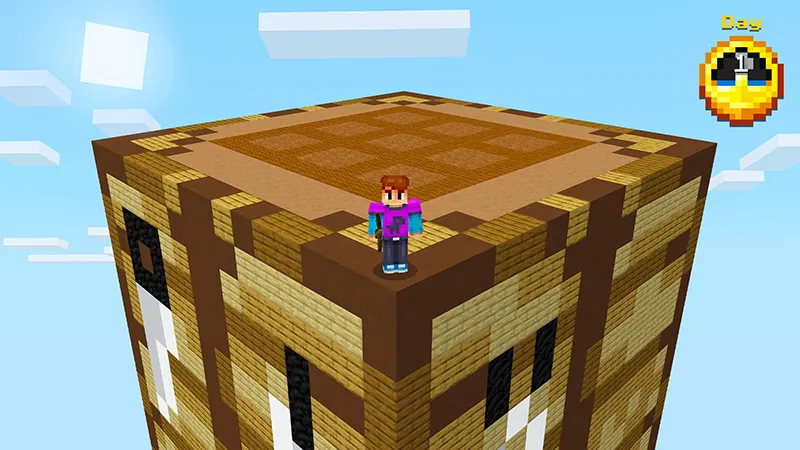 100 Days Mega Blocks