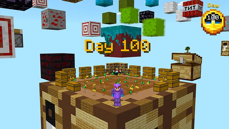 100 Days Mega Blocks