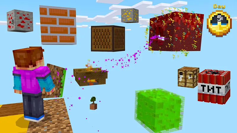 100 Days Mega Blocks