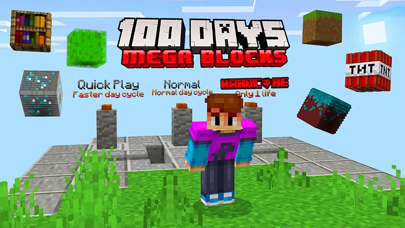 100 Days Mega Blocks