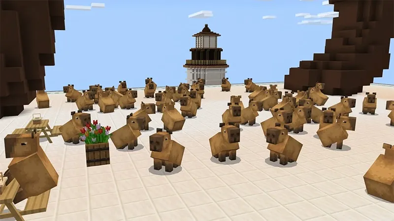 Capybara Town