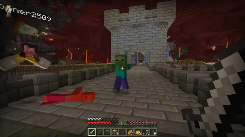 Overworld in the Nether