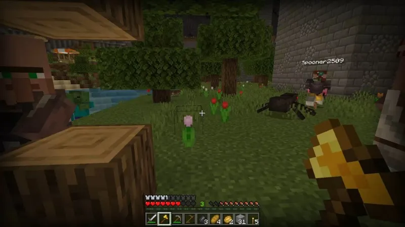 Overworld in the Nether