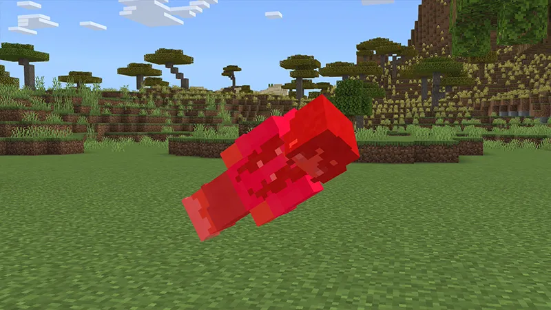 Don't Touch GRASS