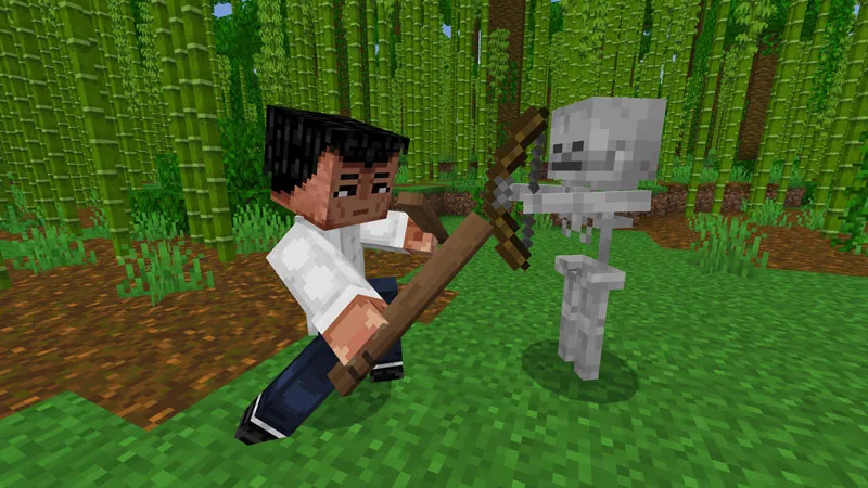 Bruce Lee: Dragon Fury