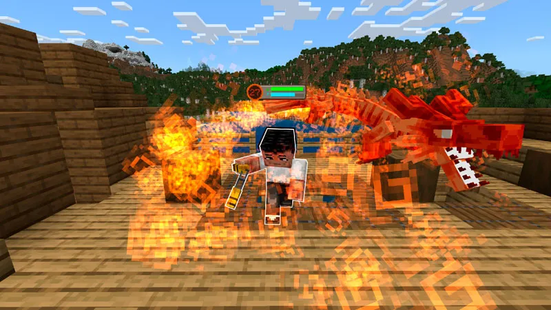 Bruce Lee: Dragon Fury