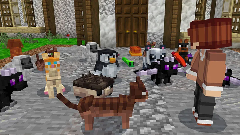Cute Pets