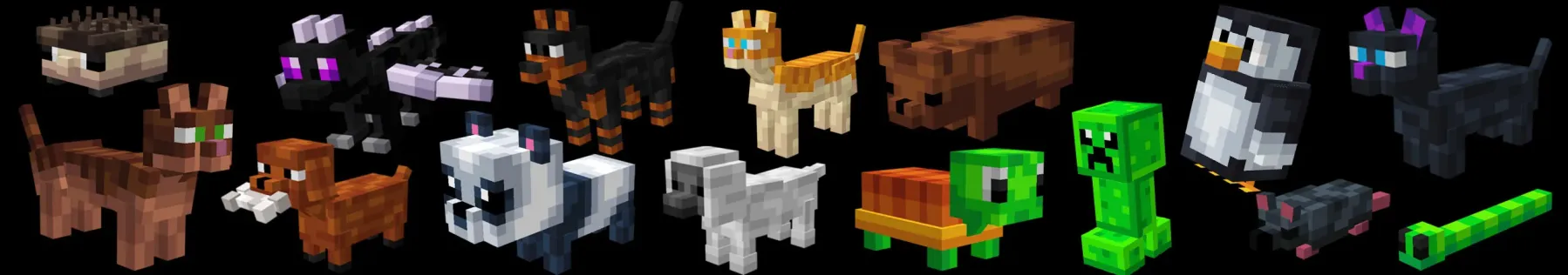 Cute Pets