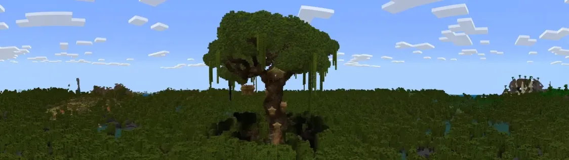 Mangrove Treehouse