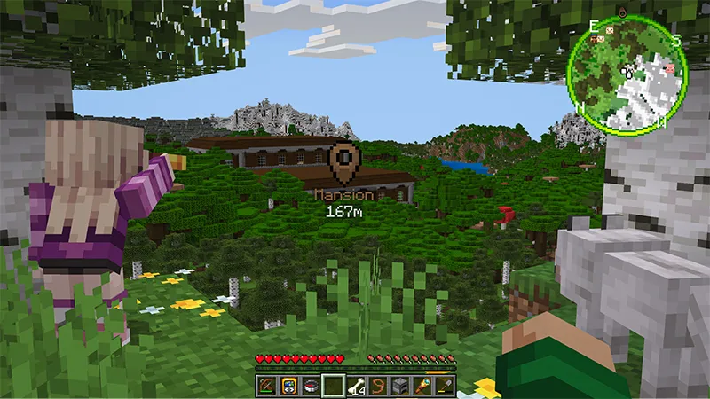 Real Minimap
