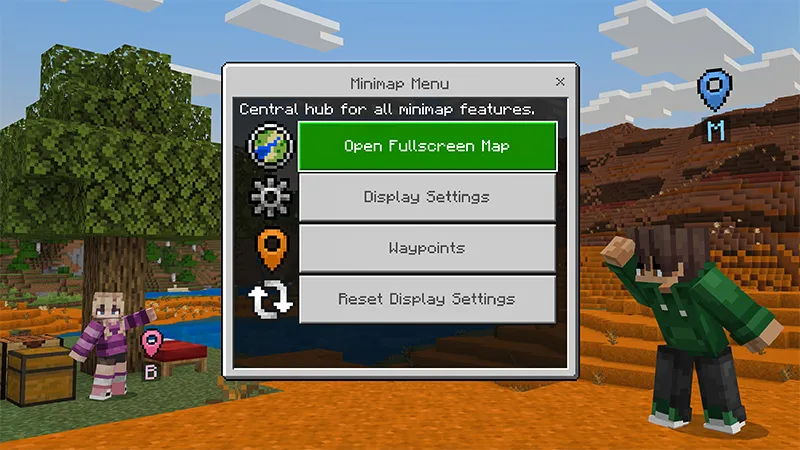 Real Minimap