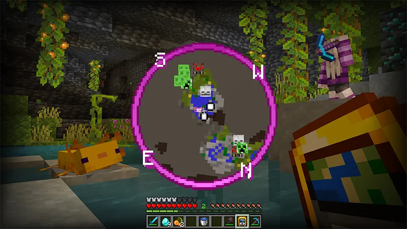 Real Minimap