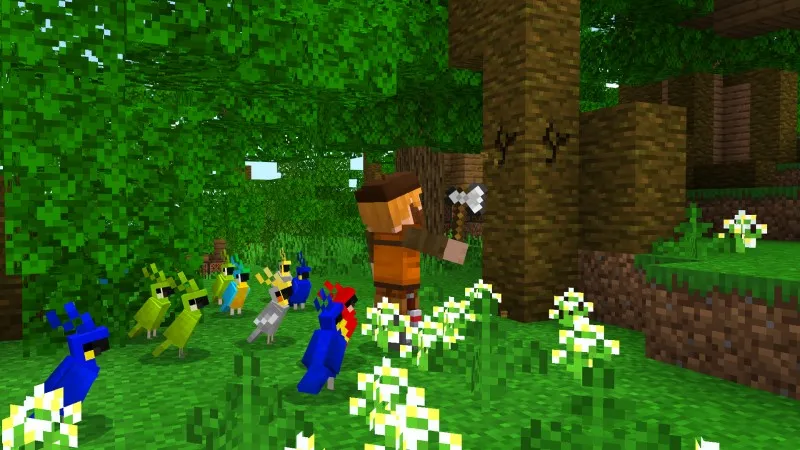 3 Things on an Island