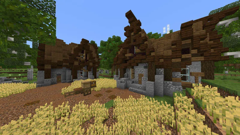 Medieval Life