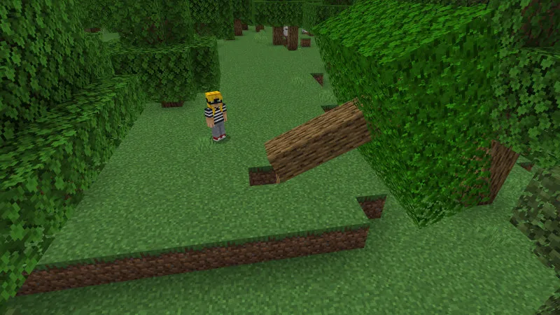 Secret Tree Base
