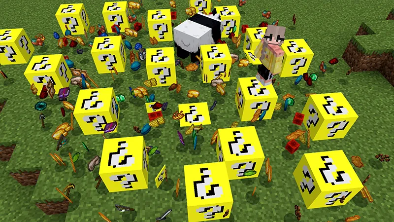 100 Days LUCKY BLOCK!