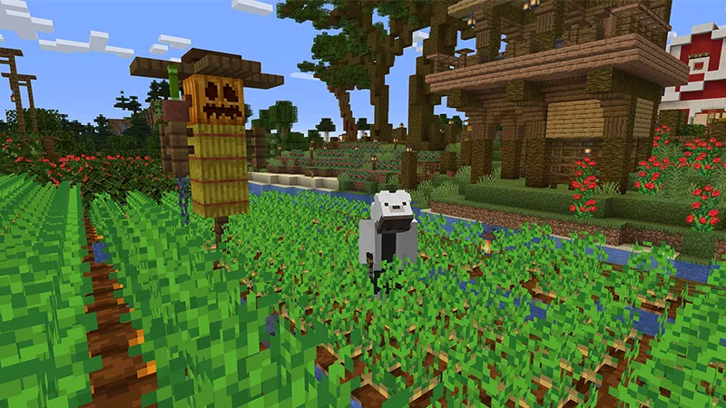 Life in the CountrySide