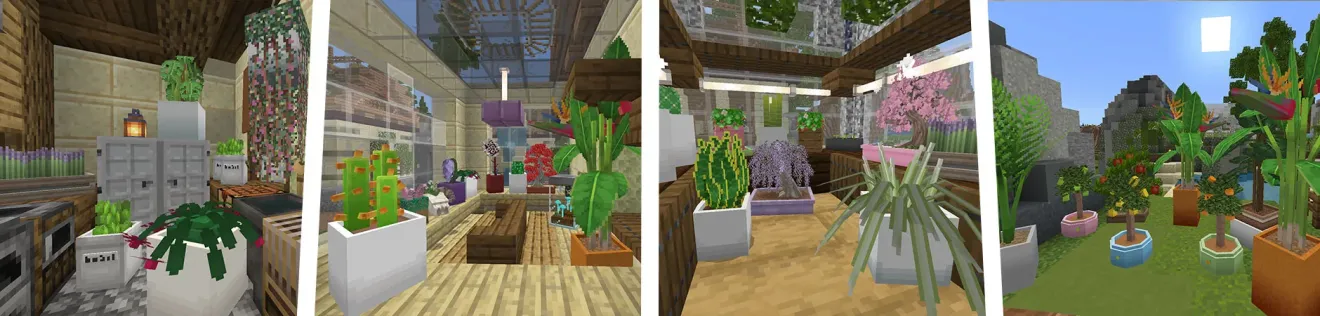 House Plants