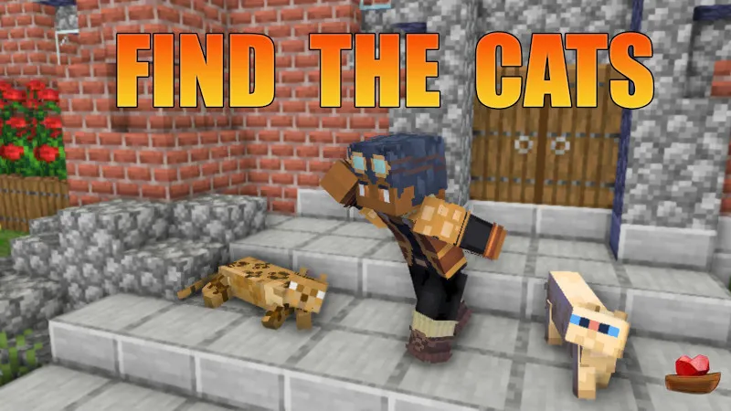 Find The Cats