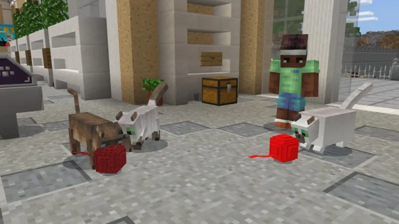 Cats