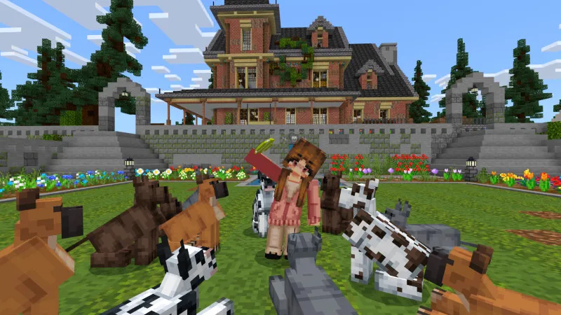 Dog Sanctuary