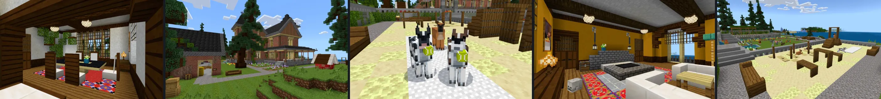 Dog Sanctuary