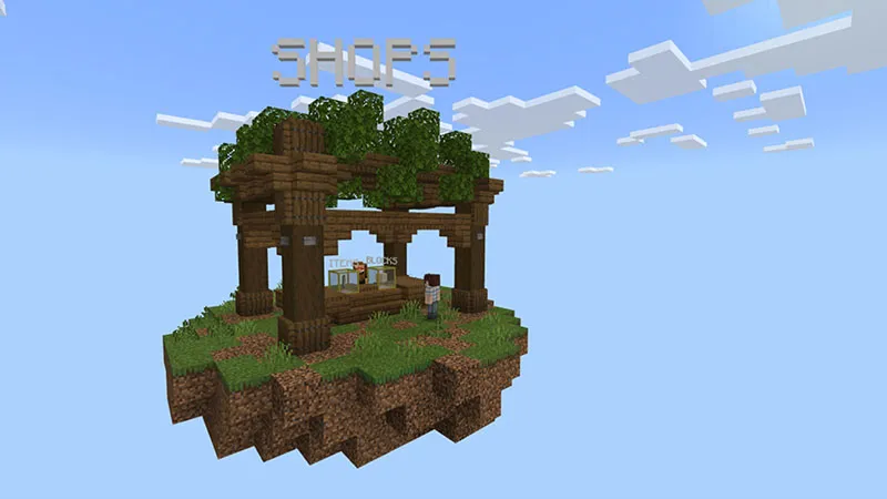 Skyblock 1.1