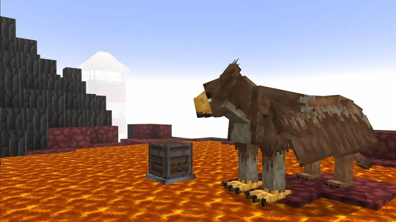 The Village in the Clouds