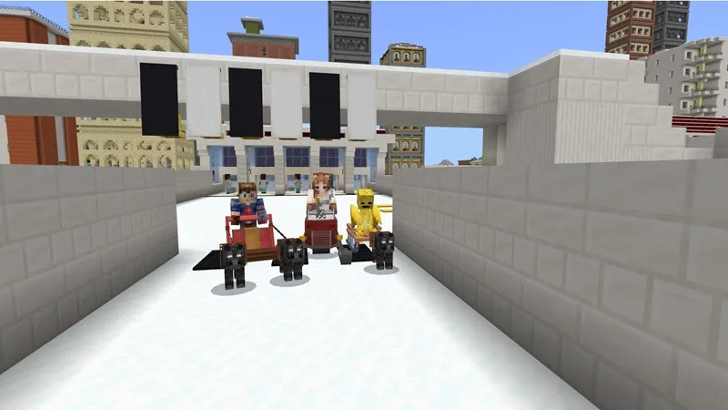 Winter Race
